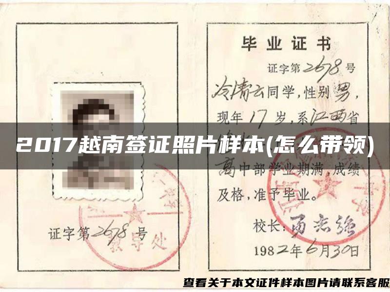 2017越南签证照片样本(怎么带领)