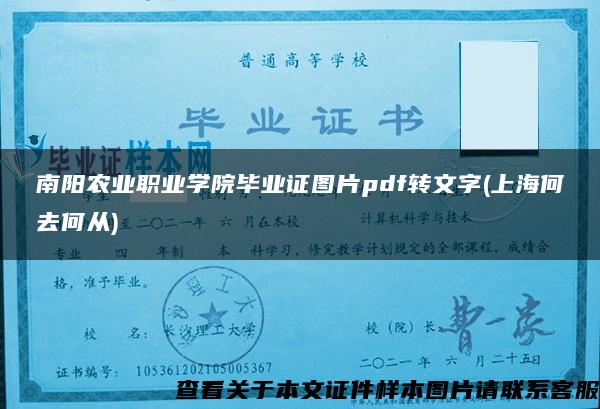 南阳农业职业学院毕业证图片pdf转文字(上海何去何从)