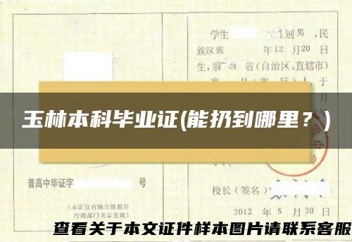 玉林本科毕业证(能扔到哪里？)