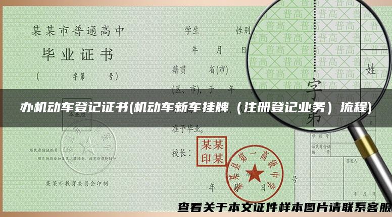 办机动车登记证书(机动车新车挂牌（注册登记业务）流程)