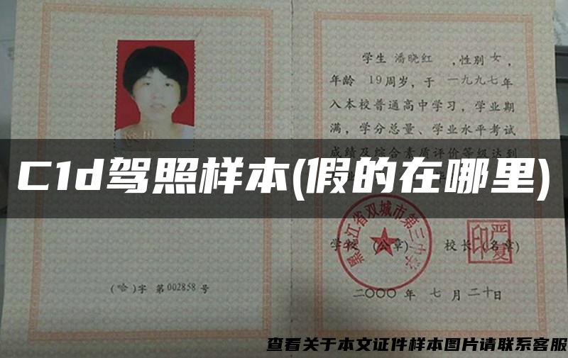 C1d驾照样本(假的在哪里)
