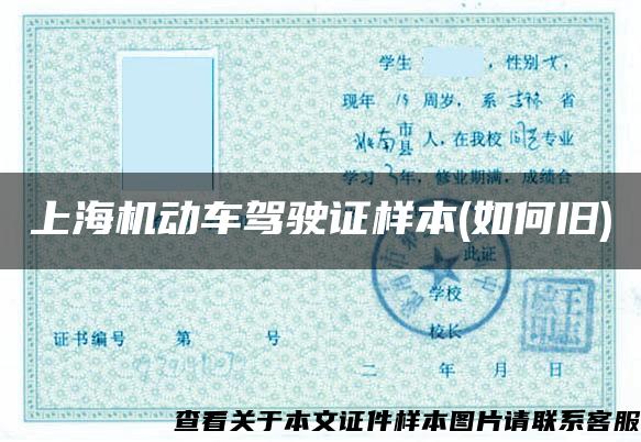 上海机动车驾驶证样本(如何旧)