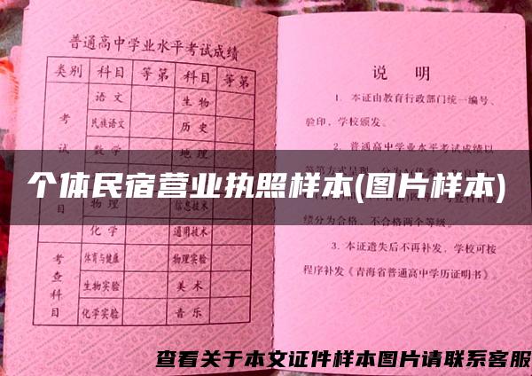 个体民宿营业执照样本(图片样本)