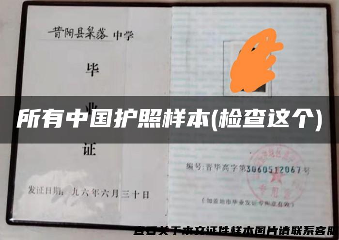 所有中国护照样本(检查这个)