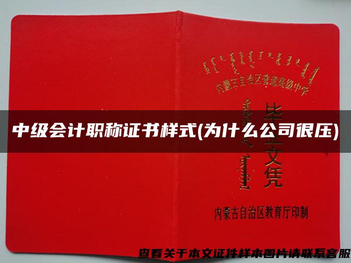 中级会计职称证书样式(为什么公司很压)