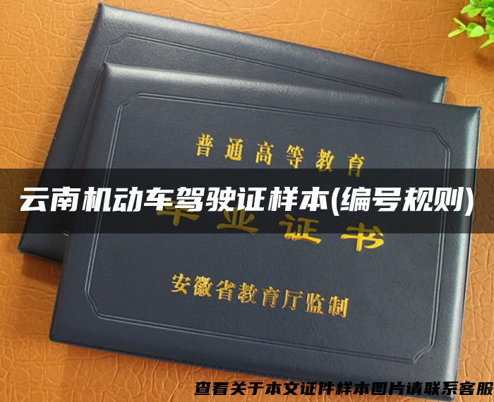 云南机动车驾驶证样本(编号规则)