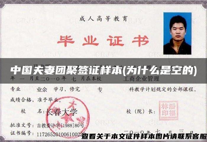 中国夫妻团聚签证样本(为什么是空的)