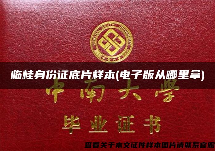 临桂身份证底片样本(电子版从哪里拿)
