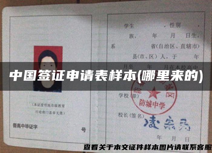 中国签证申请表样本(哪里来的)