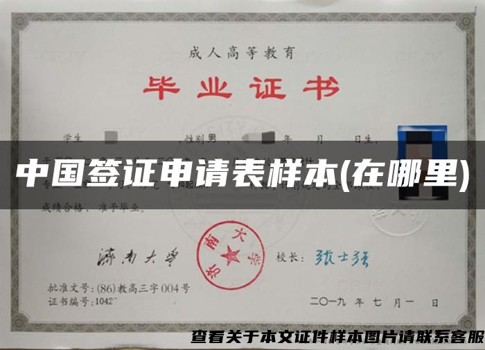 中国签证申请表样本(在哪里)
