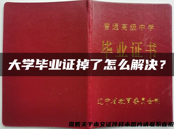 大学毕业证掉了怎么解决？