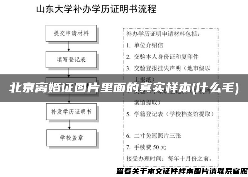 北京离婚证图片里面的真实样本(什么毛)