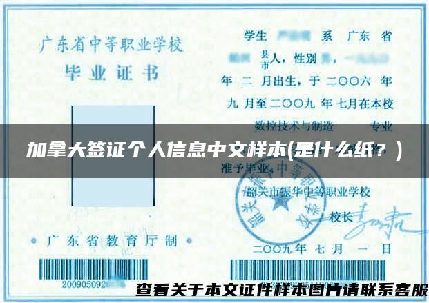 加拿大签证个人信息中文样本(是什么纸？)