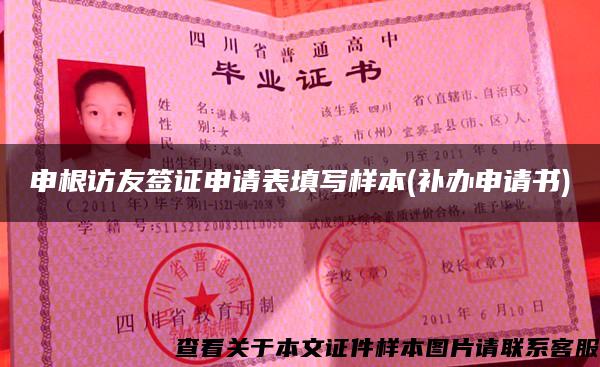 申根访友签证申请表填写样本(补办申请书)