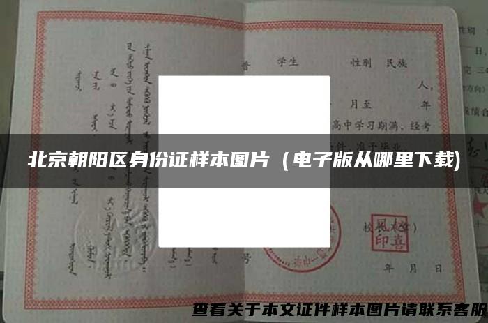 北京朝阳区身份证样本图片（电子版从哪里下载)