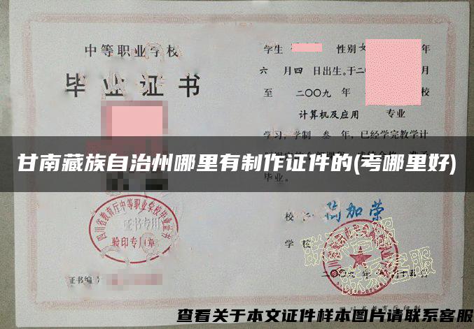甘南藏族自治州哪里有制作证件的(考哪里好)