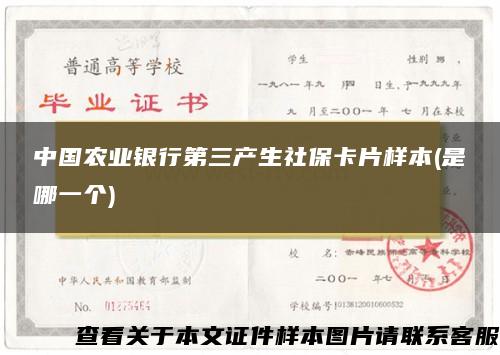 中国农业银行第三产生社保卡片样本(是哪一个)