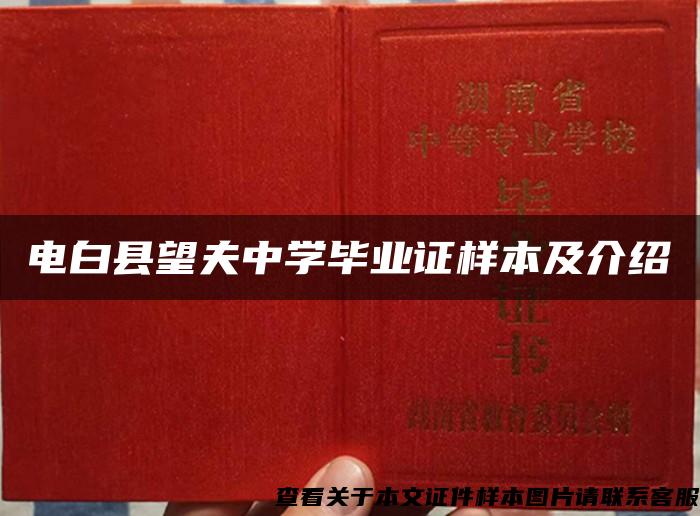 电白县望夫中学毕业证样本及介绍