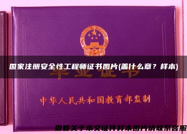 国家注册安全性工程师证书图片(盖什么章？样本)
