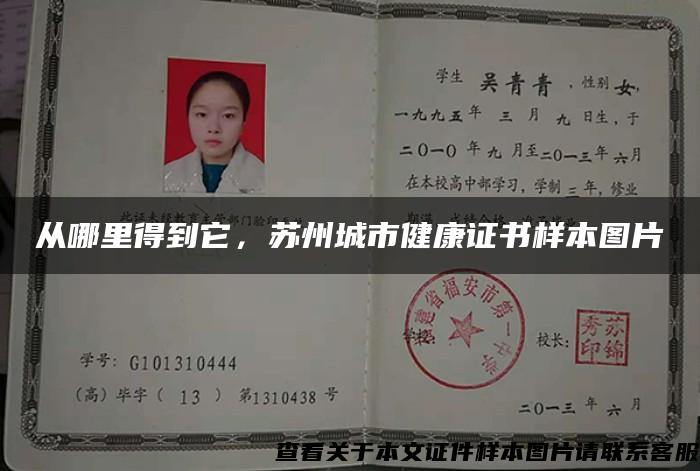 从哪里得到它，苏州城市健康证书样本图片
