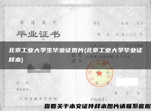 北京工业大学生毕业证图片(北京工业大学毕业证样本)