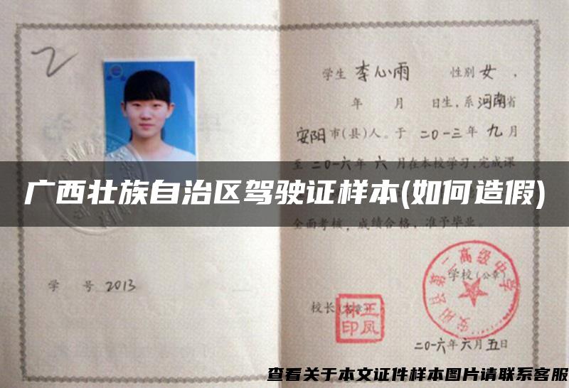 广西壮族自治区驾驶证样本(如何造假)