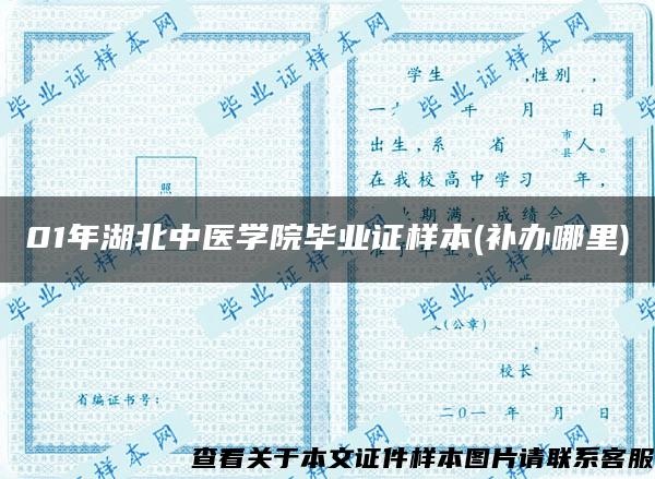 01年湖北中医学院毕业证样本(补办哪里)