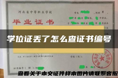 学位证丢了怎么查证书编号