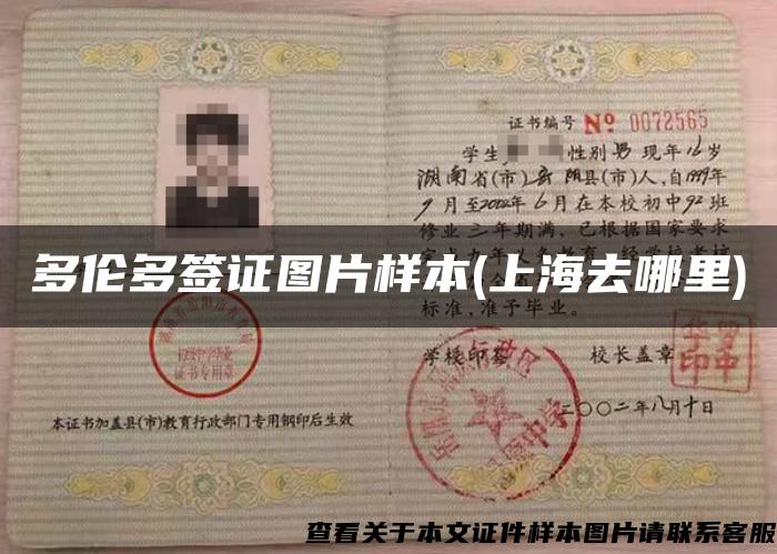 多伦多签证图片样本(上海去哪里)