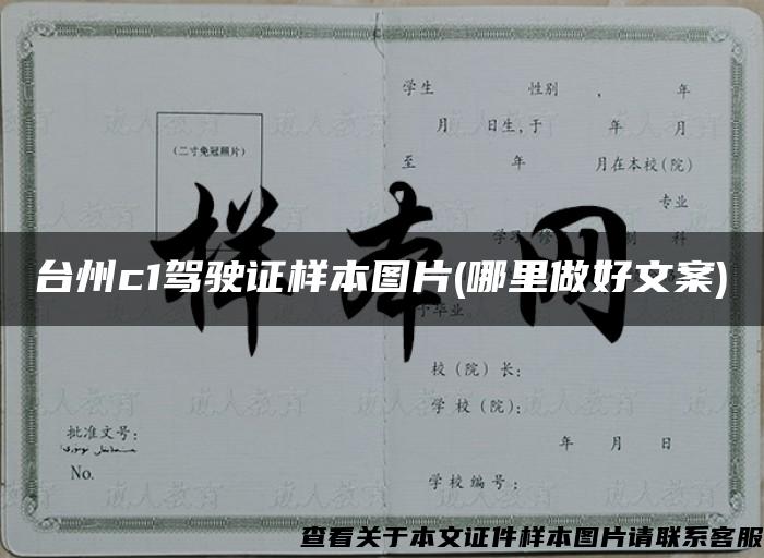 台州c1驾驶证样本图片(哪里做好文案)