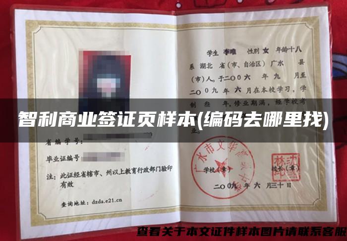 智利商业签证页样本(编码去哪里找) 智利商业签证页样本(编码去哪里找)
