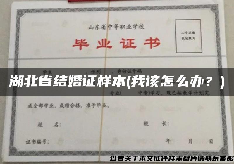 湖北省结婚证样本(我该怎么办？)