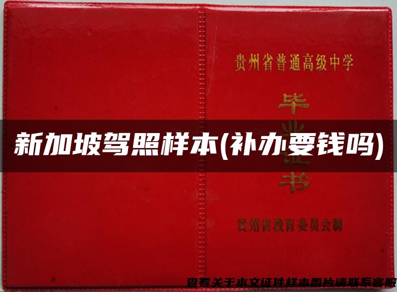 新加坡驾照样本(补办要钱吗)