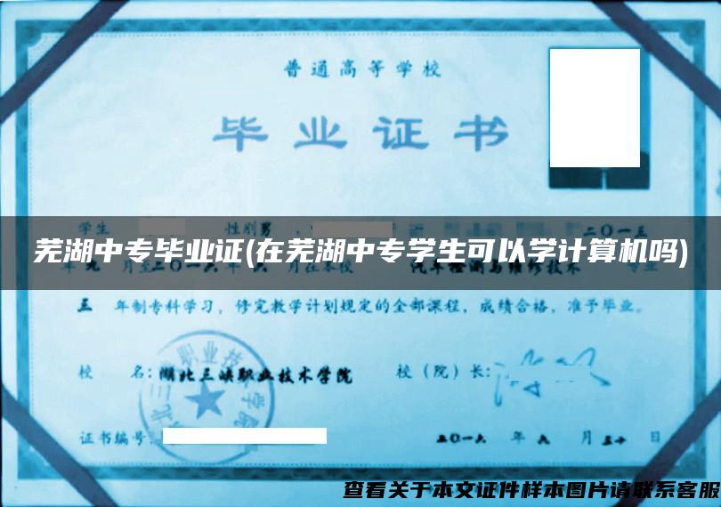 芜湖中专毕业证(在芜湖中专学生可以学计算机吗)