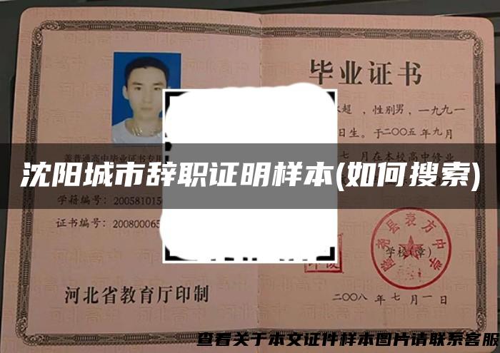 沈阳城市辞职证明样本(如何搜索)