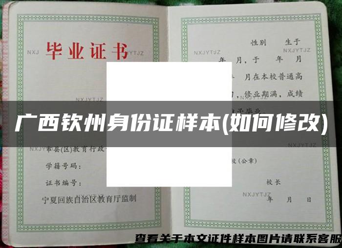 广西钦州身份证样本(如何修改)