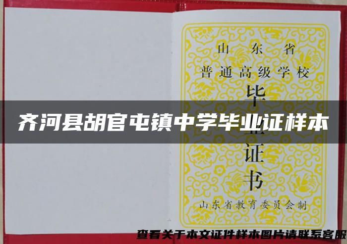 齐河县胡官屯镇中学毕业证样本