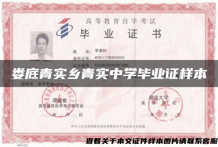娄底青实乡青实中学毕业证样本