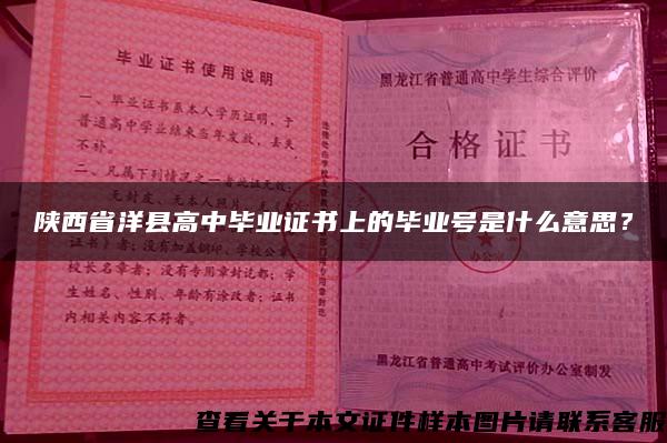陕西省洋县高中毕业证书上的毕业号是什么意思？