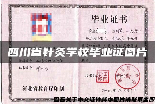 四川省针灸学校毕业证图片