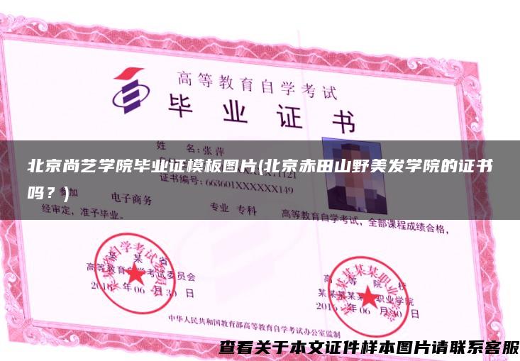 北京尚艺学院毕业证模板图片(北京赤田山野美发学院的证书吗？)