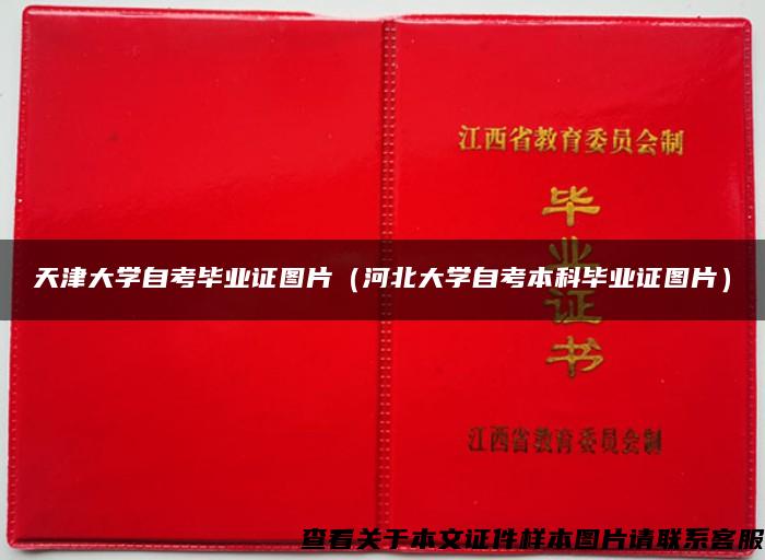 天津大学自考毕业证图片（河北大学自考本科毕业证图片）