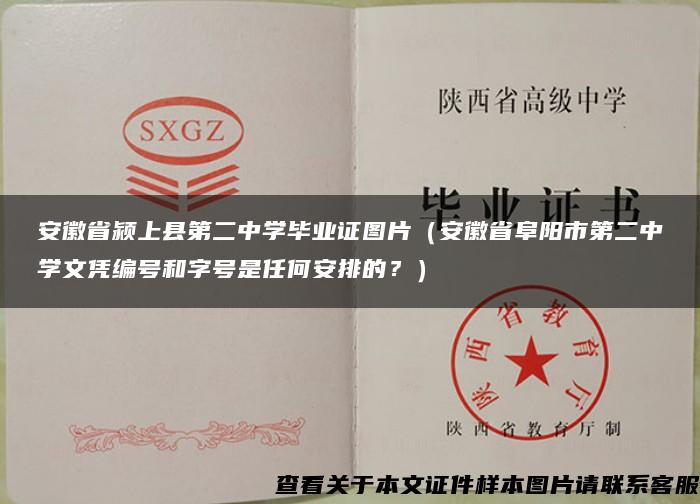 安徽省颍上县第二中学毕业证图片（安徽省阜阳市第二中学文凭编号和字号是任何安排的？）