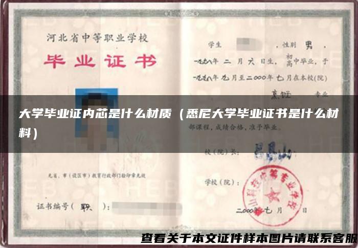大学毕业证内芯是什么材质（悉尼大学毕业证书是什么材料）