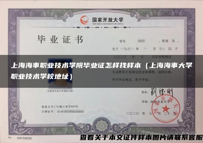 上海海事职业技术学院毕业证怎样找样本（上海海事大学职业技术学校地址）