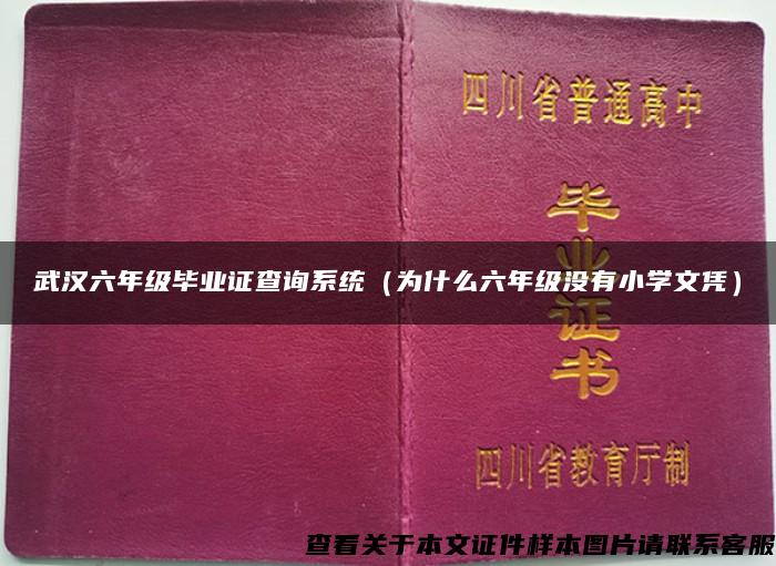 武汉六年级毕业证查询系统（为什么六年级没有小学文凭）