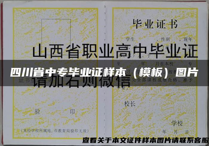 四川省中专毕业证样本（模板）图片