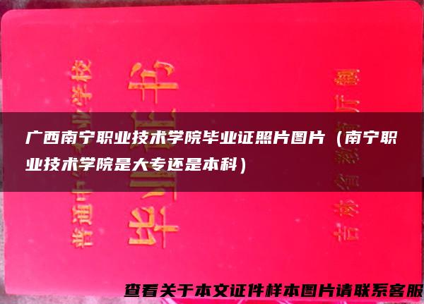 广西南宁职业技术学院毕业证照片图片（南宁职业技术学院是大专还是本科）