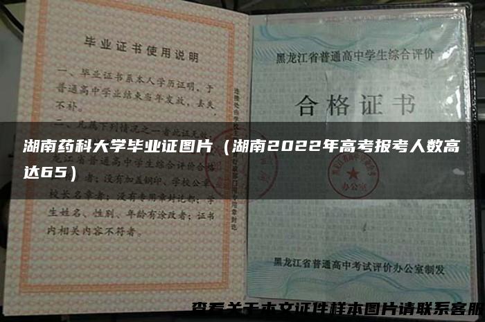 湖南药科大学毕业证图片（湖南2022年高考报考人数高达65）