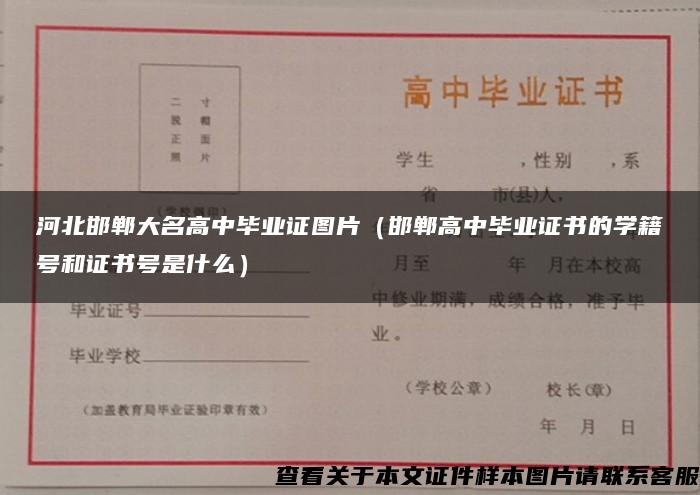 河北邯郸大名高中毕业证图片（邯郸高中毕业证书的学籍号和证书号是什么）